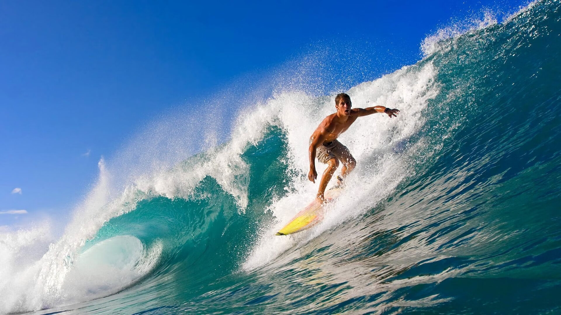 球场内外:比赛精彩、悬念和球迷支持完美结合,球场内讧